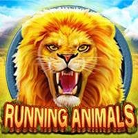 Running Animals